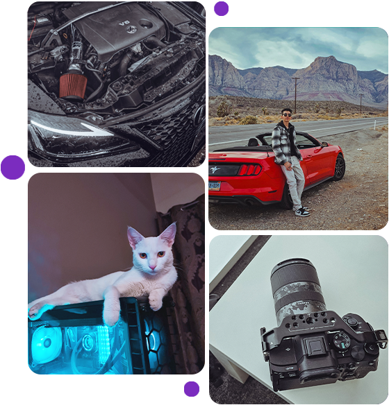 An image collage showcasing my favourite hobbies/things.