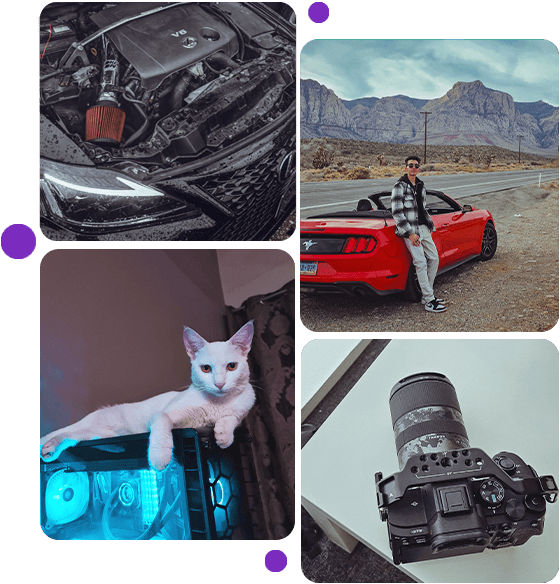 An image collage showcasing my favourite hobbies/things.